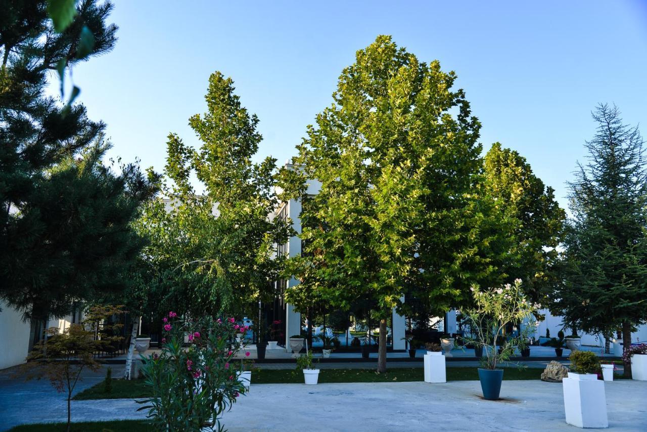 Bed and Breakfast Mesecev Konak Ниш Екстер'єр фото