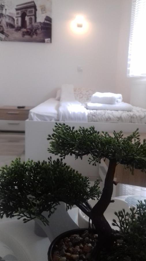 Bed and Breakfast Mesecev Konak Ниш Екстер'єр фото
