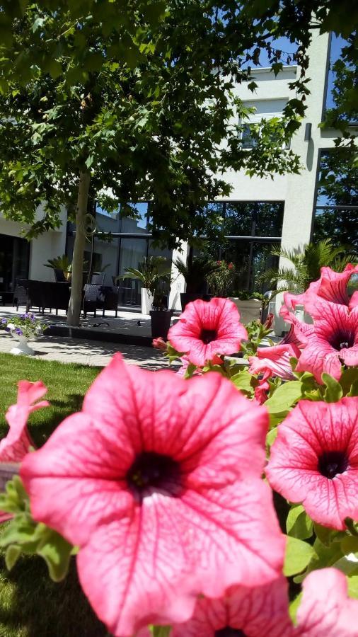 Bed and Breakfast Mesecev Konak Ниш Екстер'єр фото