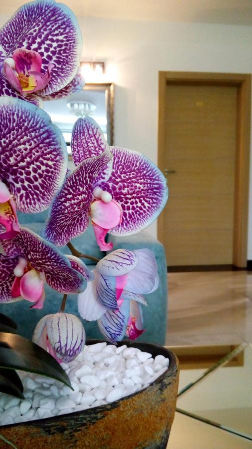 Bed and Breakfast Mesecev Konak Ниш Екстер'єр фото