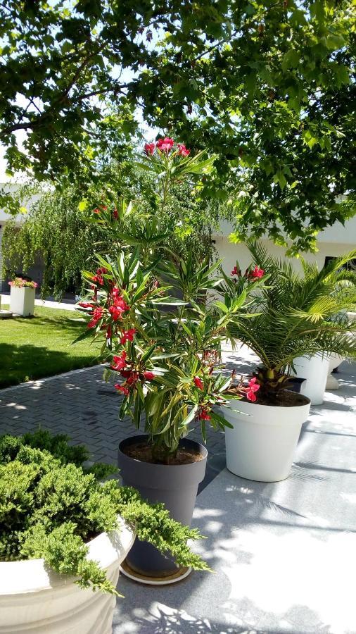 Bed and Breakfast Mesecev Konak Ниш Екстер'єр фото